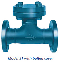 Model 91 Tee-Type Strainer with Bolted Cover
