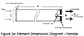 Figure 1a: Element Dimensions Diagram - Female