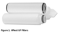 Figure 1: XPleat™ GF Filters