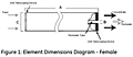 Figure 1: Element Dimensions Diagram - Female<!--1-->